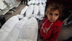 Nearly 600 Children Killed Since March 18 as Israeli Attacks Intensify
