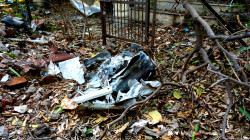 Thirteen Dead in Blast During Expired Ammunition Disposal in Indonesia
