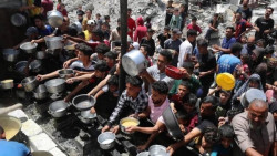 Arab-Islamic Committee Welcomes UK, France, Canada's Gaza Stance