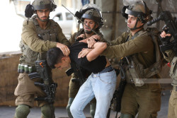 Israeli Forces Arrest 11 Palestinians in Widespread West Bank Raids