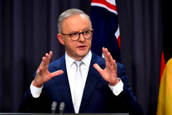 Albanese Condemns Israel’s Aid Blockade on Gaza, Calls It ‘Outrageous’