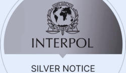 Interpol Issues India’s First Silver Notice to Trace Assets in High-Profile Visa Fraud Case