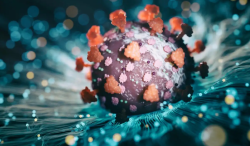 Surge in COVID-19 Cases Linked to New Omicron Sub-Variants in India