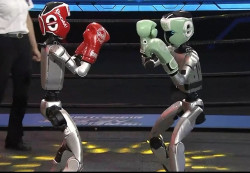 Are Humanoid Robots the Next Big Frontier?