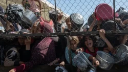 Gaza Faces Severe Hunger as Aid Distribution Shrinks from 400 to Just 4 Points