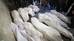 51 Palestinians Killed in 24 Hours as Israel Strikes Aid Seekers in Gaza