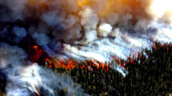 Canada’s 2025 Wildfire Season Sparks Widespread Concern, Setting Alarming Early Records