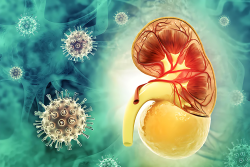 COVID Vaccines Help Prevent Deadly Kidney Failure, Study Reveals Impact