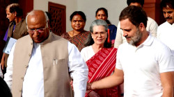 AAP Emerges Strongest in Assembly Bypolls; BJP, Congress, TMC Secure One Seat Each