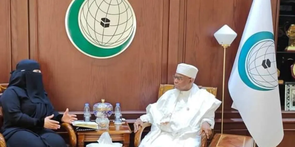 Saudi Human Rights Chief Meets OIC Human Rights Director, Reaffirm ...