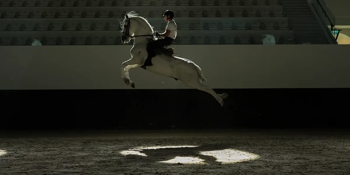 Sheikh Mansour Inaugurates ADREA, UAE’s First Global Classical Equestrian Academy