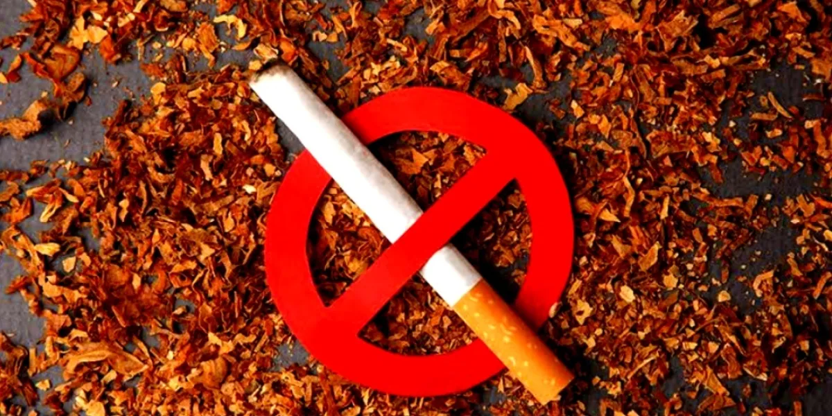 Provincial Alliance Urges KP Government to Act on Tobacco Control and Regulate New Nicotine Products