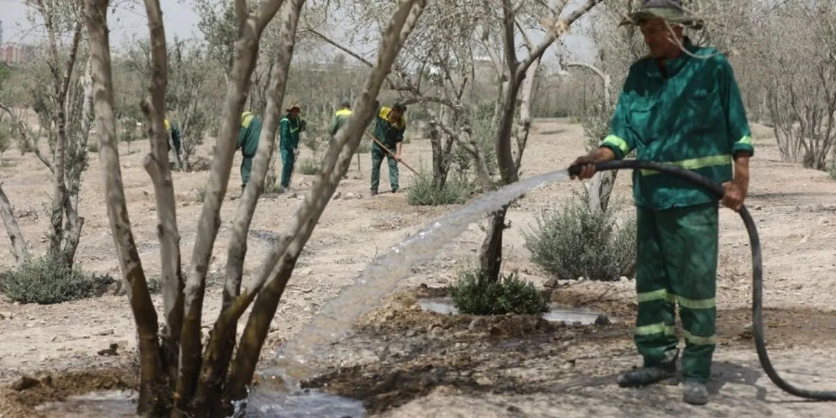 Tehran Plans Water Cuts As Iran Faces Historic Drought Crisis | Human ...