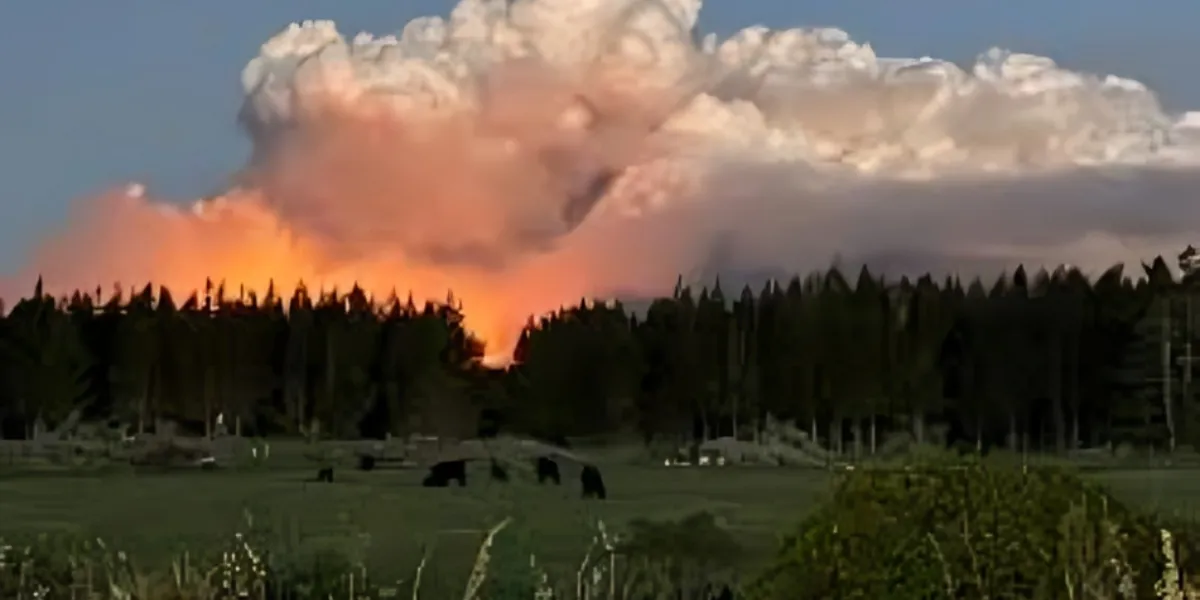 New Zealand Deploys Extra Aircraft to Battle Tongariro Wildfire