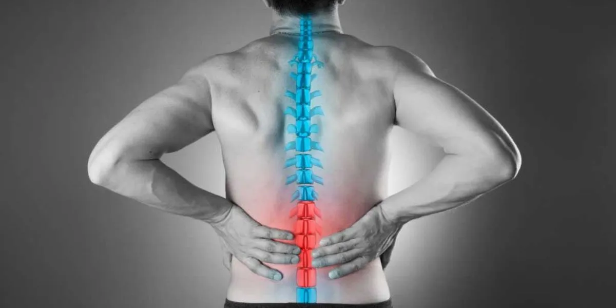 Spinal Cord Trauma Greatly Increases Risk Of Major Chronic Diseases