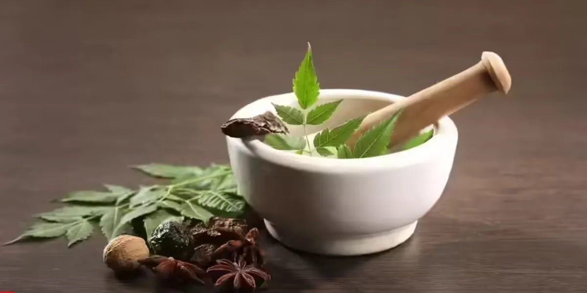 Ayurvedic Herbs And Spices That Naturally Lower High Uric Acid Levels