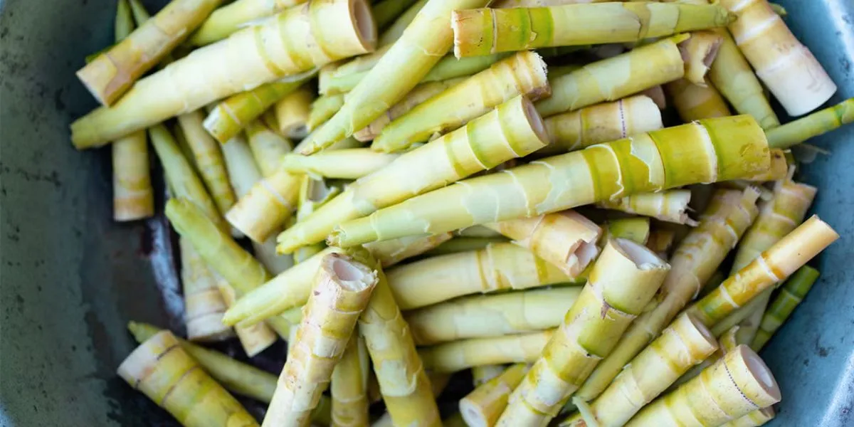 Bamboo Shoots Offer Powerful Benefits For Heart, Gut, Skin And Immunity