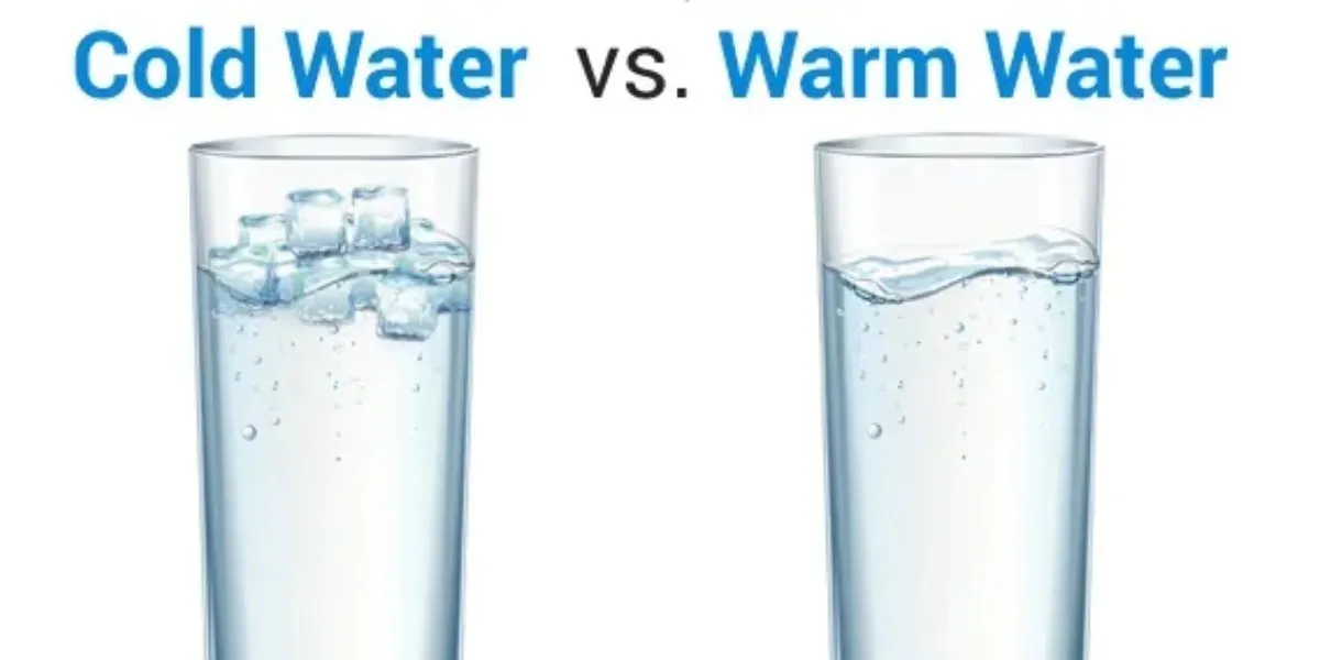 Warm Or Cold Morning Water Impacts Digestion, Energy, Hydration, And Mood