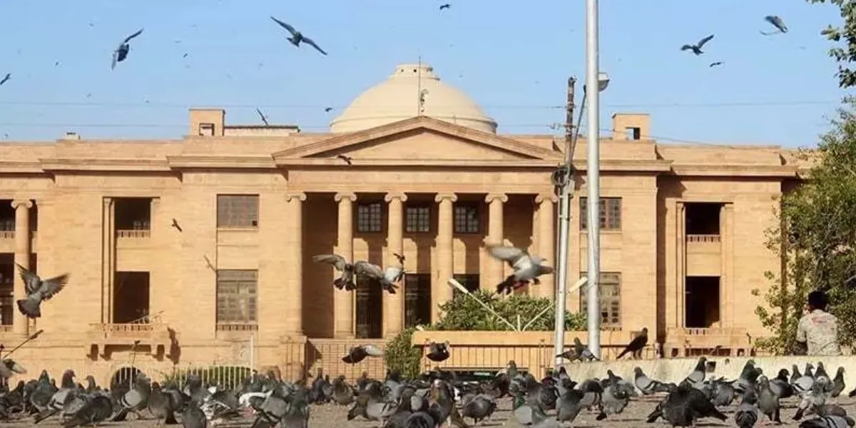 Sindh Ordinance On Constitutional Benches Faces Major Legal Challenge
