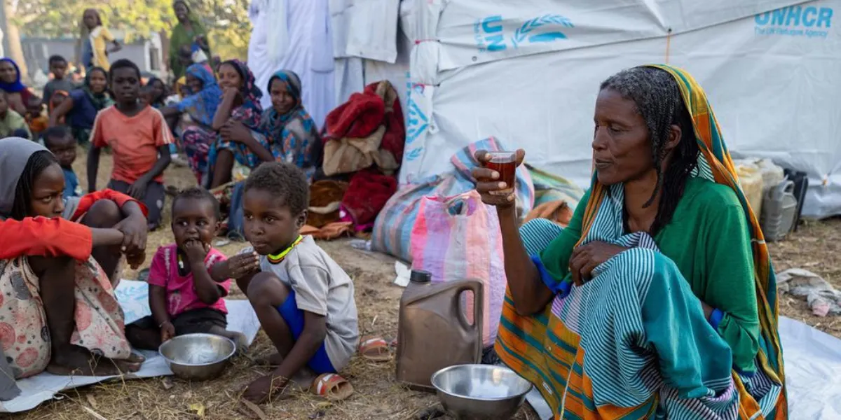 Humanitarian Needs Surge in Sudan Amid Displacement and Insecurity