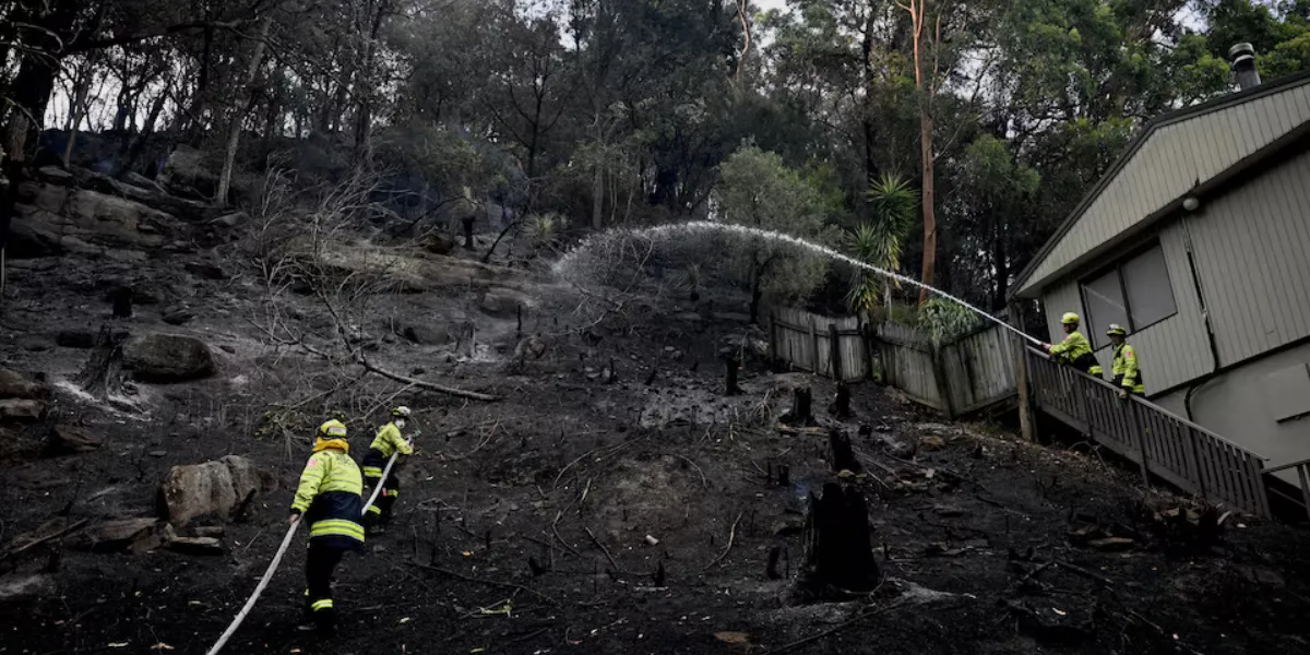 Australian Firefighter Killed Amid Bushfires; Homes Lost Across NSW ...