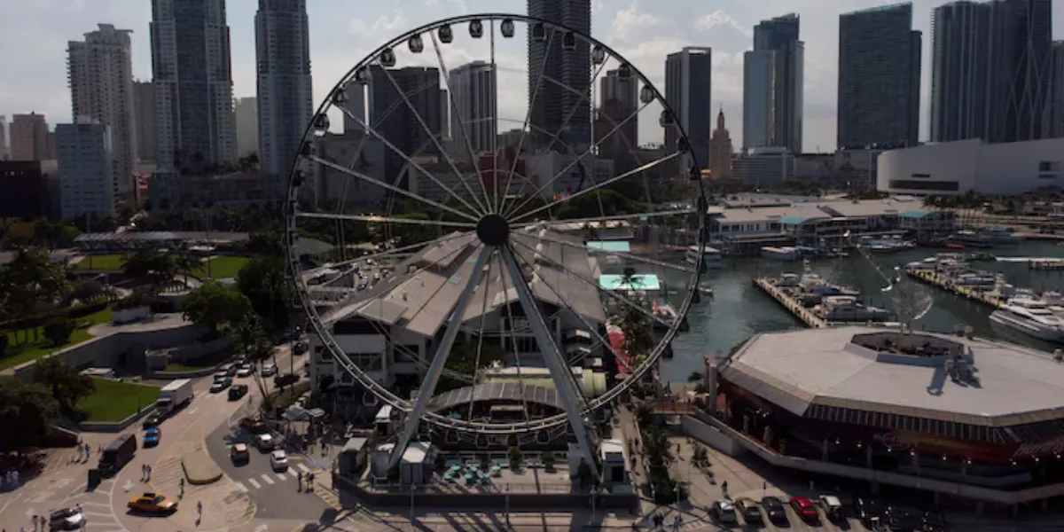 Democrat Eileen Higgins Wins Miami Mayoral Race, Defeating Trump-Backed Rival