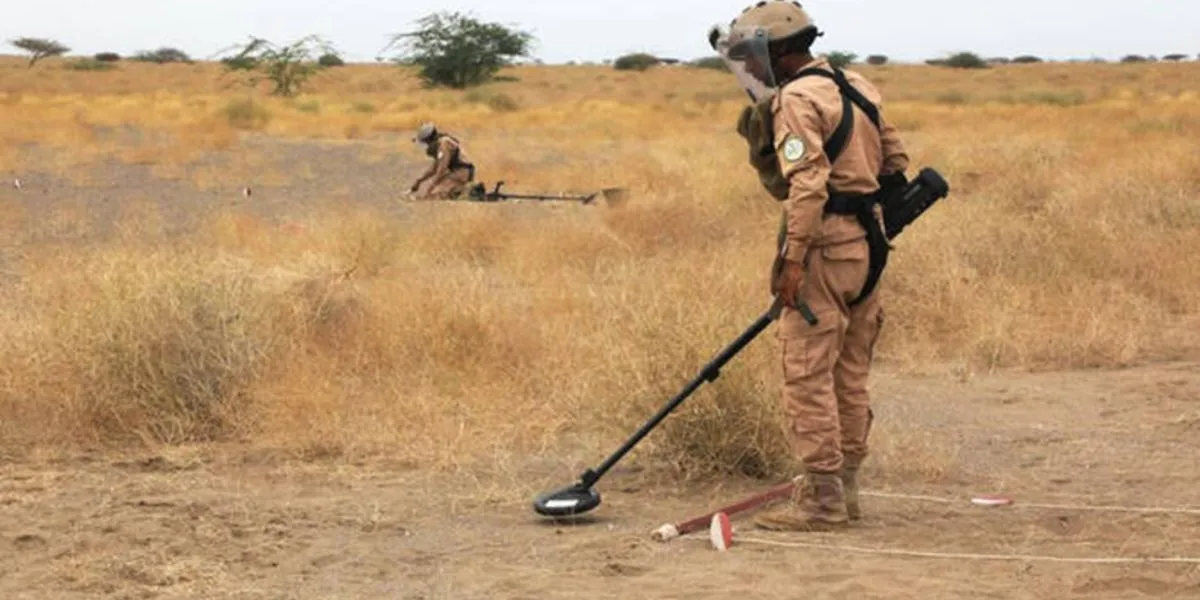 Saudi Project Masam Clears 736 Explosive Devices Across Yemen