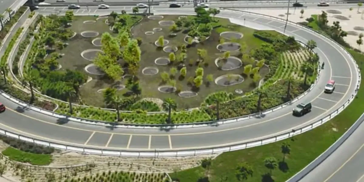 Dubai Municipality Begins 20000 Tree Plantation Drive Across City Spaces