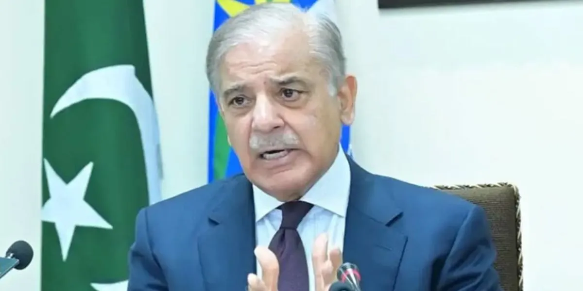 PM Shehbaz Sharif Warns Political Disputes Threaten Pakistan Stability