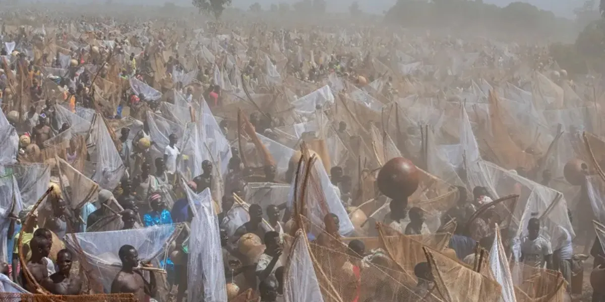 Africa Today: Haiti Gang Violence Surges and Nigeria Festival Returns