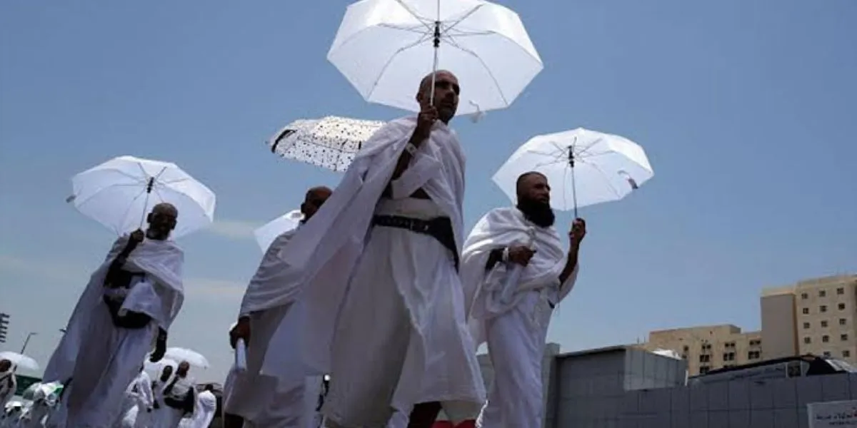 Pak Haj App Requires Medical Questionnaire Completion For All Pilgrims