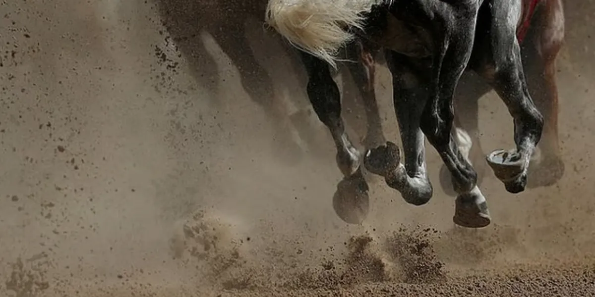 Dubai World Cup 30th Anniversary Televised Globally Across 150+ Countries