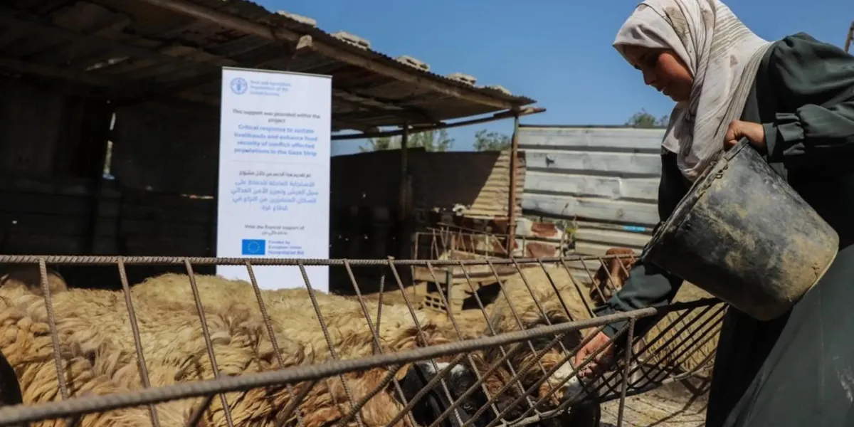 West Bank Violence Displaces More Palestinians Than All of 2025