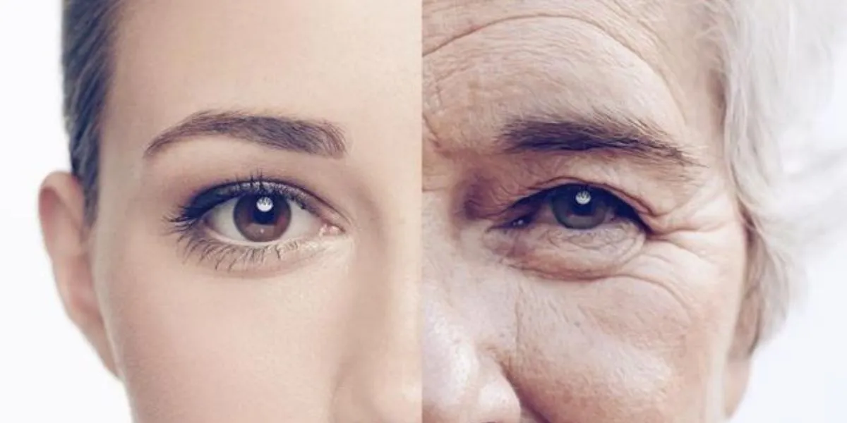 Biological Age Tests Reveal Cellular Aging, Experts Urge Caution