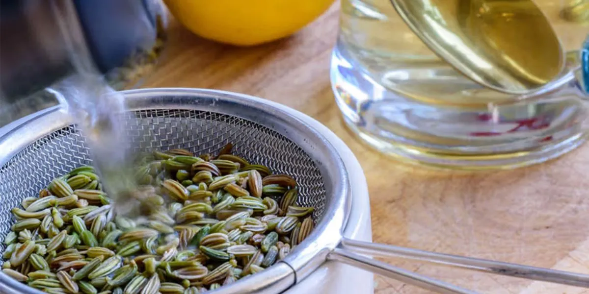 Eat Fennel After Meals To Improve Digestion, Reduce Gas, And Boost Gut Health