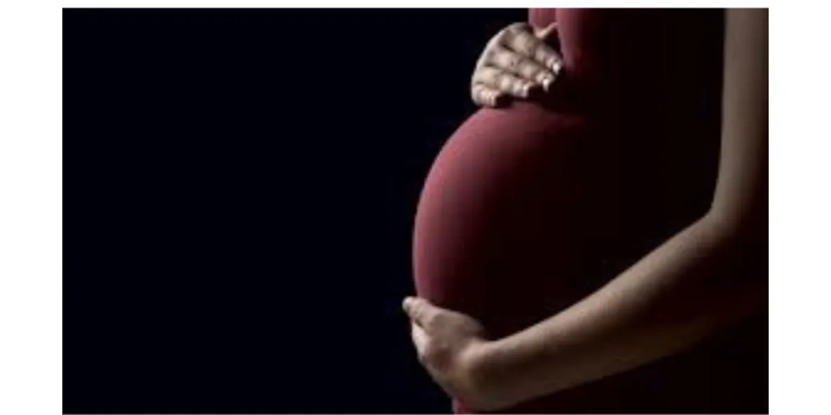 How Pregnancy Changes the Brain: What Science Says About Motherhood and the Mind