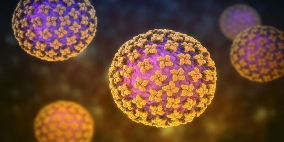 No Immediate Public Health Threat from Hantavirus in India, Says NIV Director