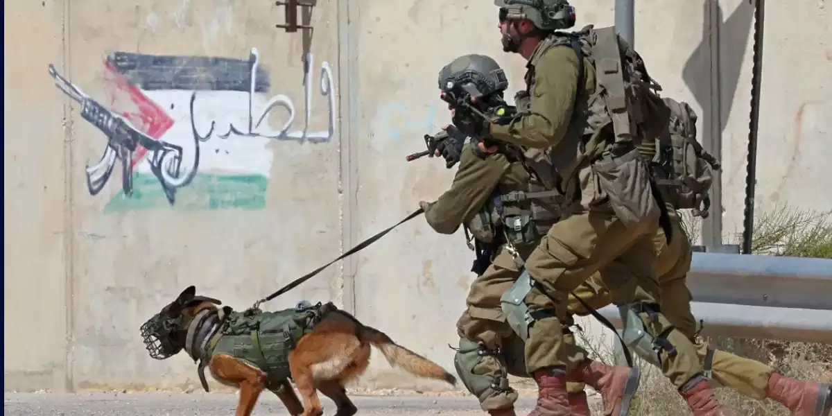 Israeli Police Allegedly Used Dogs, Sticks & Rods to Rape Palestinian Inmates, NYT Report