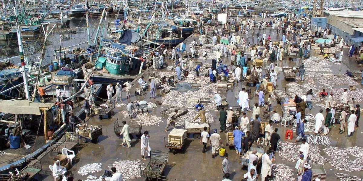 Pakistan Seafood Exports Cross $500 Million Boosted By Russia Market Access Growth