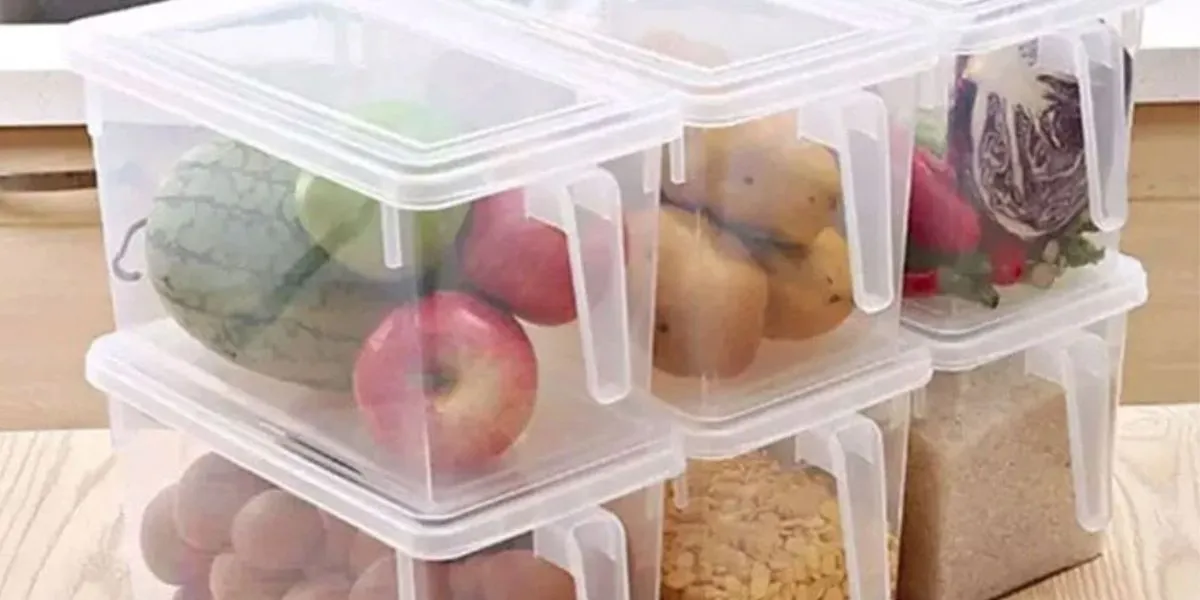Plastic Food Containers May Release Microplastics During Freezing Experts Warn