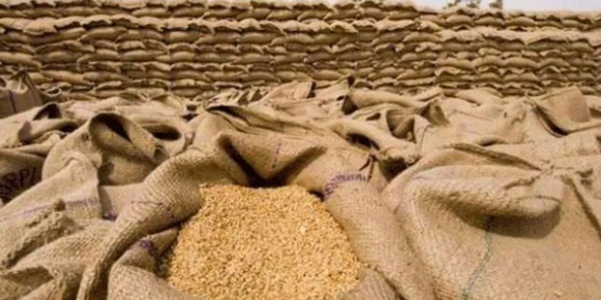 KP Government To Purchase 225,000 Tons Wheat From Landowners Directly