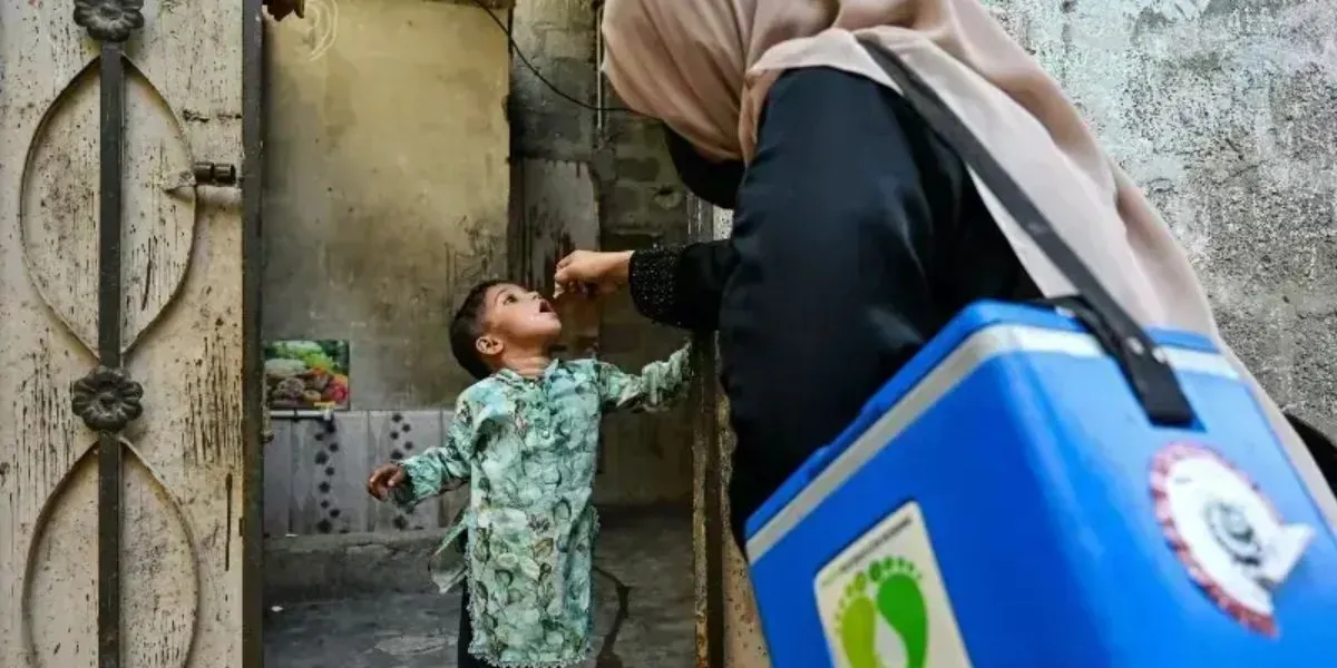 Sindh And Punjab Launch Massive Anti Polio Vaccination Campaign Nationwide Drive