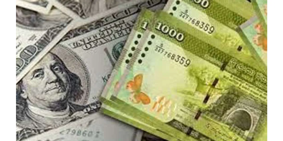 Sri Lankan Rupee Falls Sharply Against US Dollar Amid Economic Pressure