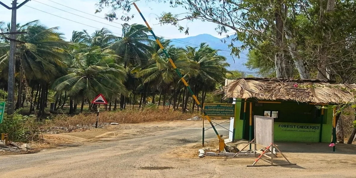 India | Kerala Govt Vows Strong Protection for People Living Along Forest Borders