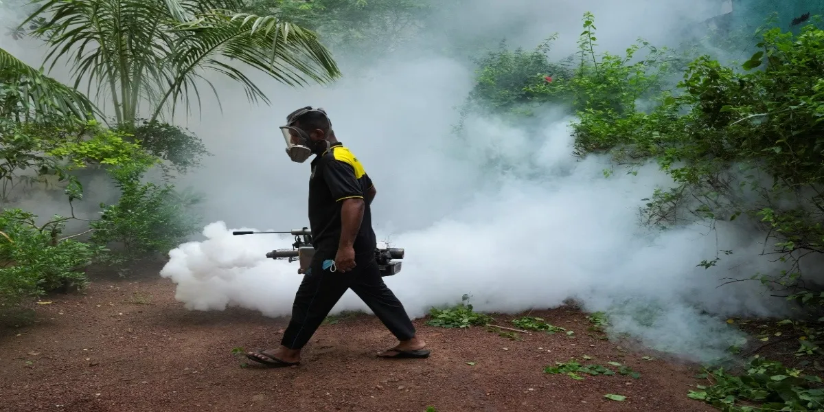 Sri Lanka Dengue Surge: Around 700 Patients a Day Push Hospitals to Breaking Point