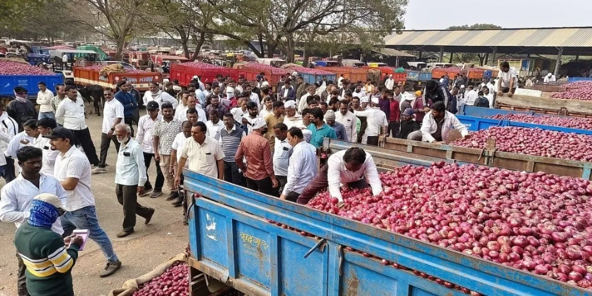 India | Maharashtra Onion Growers Demand PM-Kisan Benefits for Farmers Left Out by 2019 Cut-Off