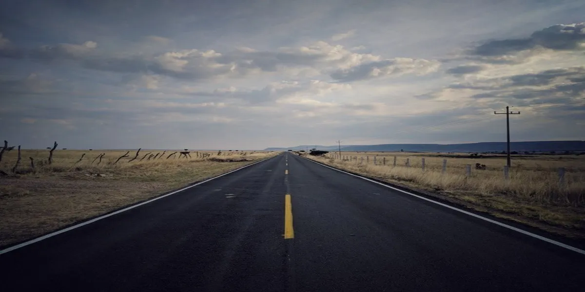 The Bigger Picture: Examining the Future of the Nolan Wells Investigation