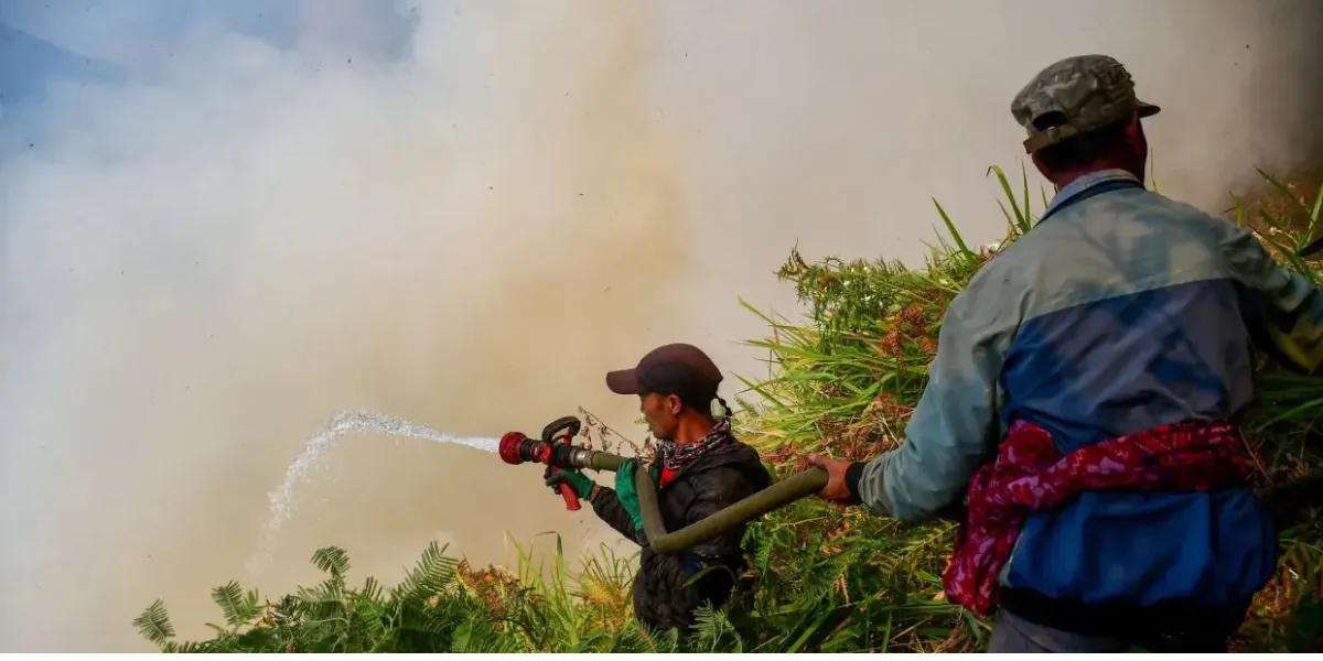 Indonesia's Mount Bromo Fire Burns Protected Forest, Prompting Emergency Response Efforts