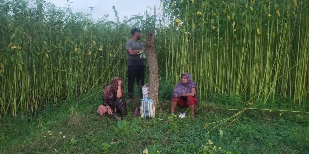 BGB Foils Push-in Attempt by BSF in Chuadanga