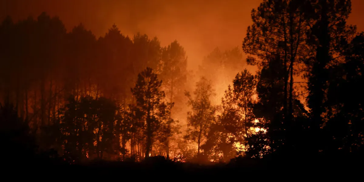 Europe Today |  Etna Disrupts Sicily Flights, Wildfires Rage Across Europe and Farage Wins Clacton Vote